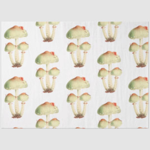 Papel De Seda Design da série Mushroom Ephemera nº 27