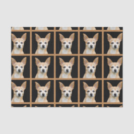Papel De Seda Design de Padrão de Banho Negro de Chihuahua