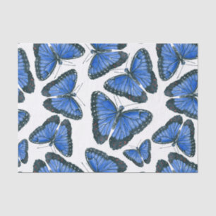 Papel De Seda Design de padrão de borboleta morfo azul