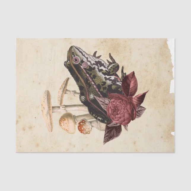 Papel De Seda Design Ephemera nº 5 (Frente )