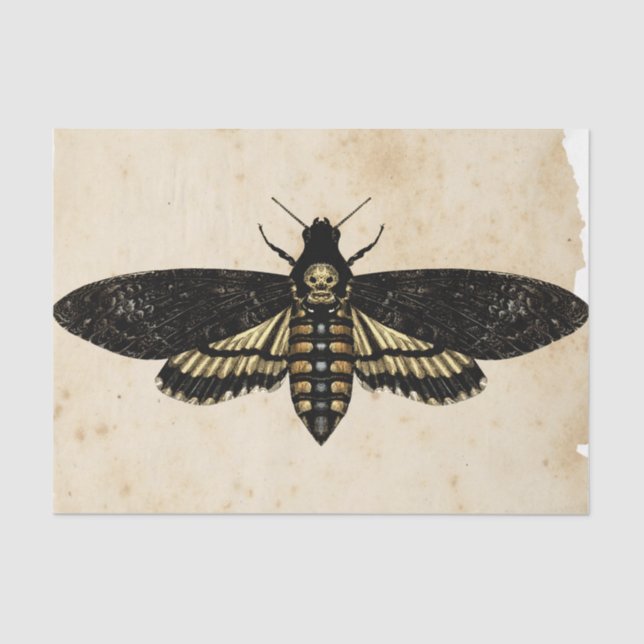 Papel De Seda Design Ephemera nº 8 (Frente )