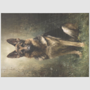 Papel De Seda Desliga Shepard Alemão Majestoso Possuindo Retrato