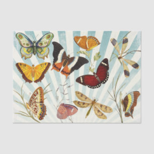 Papel De Seda Desligamento de Colagem de Borboletas de Vintage