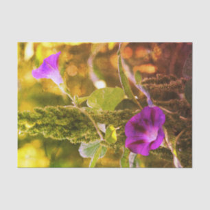 Papel De Seda Desligamento de Flores Gloriosas da Manhã Roxa Sel