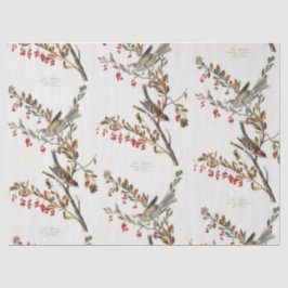 Papel De Seda Desligamento de padrões de teclas e teclas