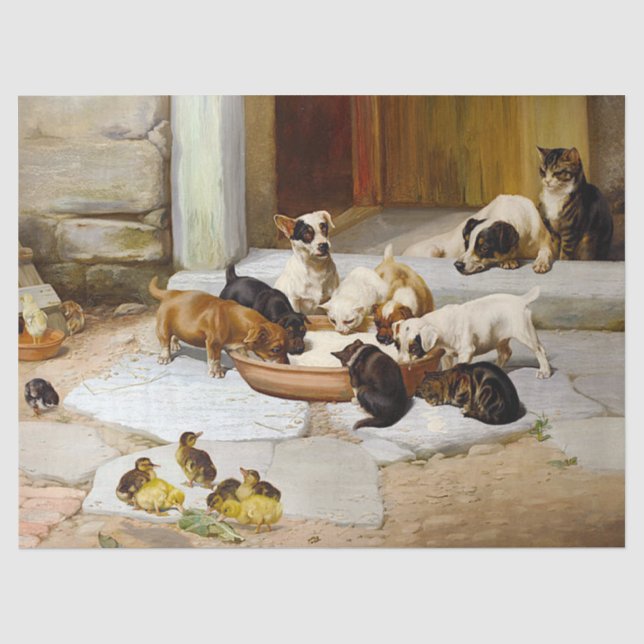 Papel De Seda Desligamento de Pintinhos de Pato de Gato de Cacho (Frente )