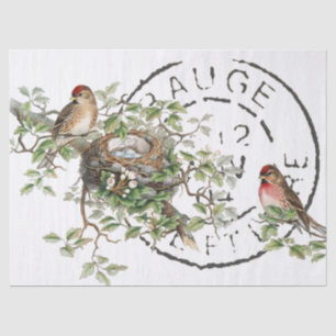 Papel De Seda Desligamento de Vintage do Pird Nest Francês 