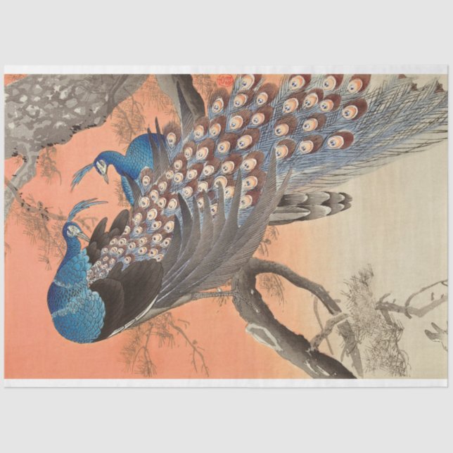 Papel De Seda Desligamento do Trabalho de arte de Peacock Azul C (Frente )