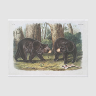 Papel De Seda Desligamento do Urso Negro da América do Norte (18