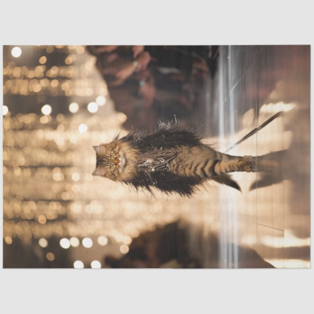 Papel De Seda Desligar Gato Elaborado Andando Pela Pista (Frente )