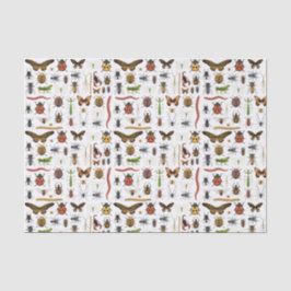 Papel De Seda Desligar Insetos Festa de aniversário