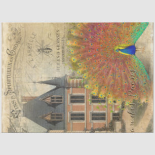 Papel De Seda Desnupage do Chateau Vintage Peacock Ephemera