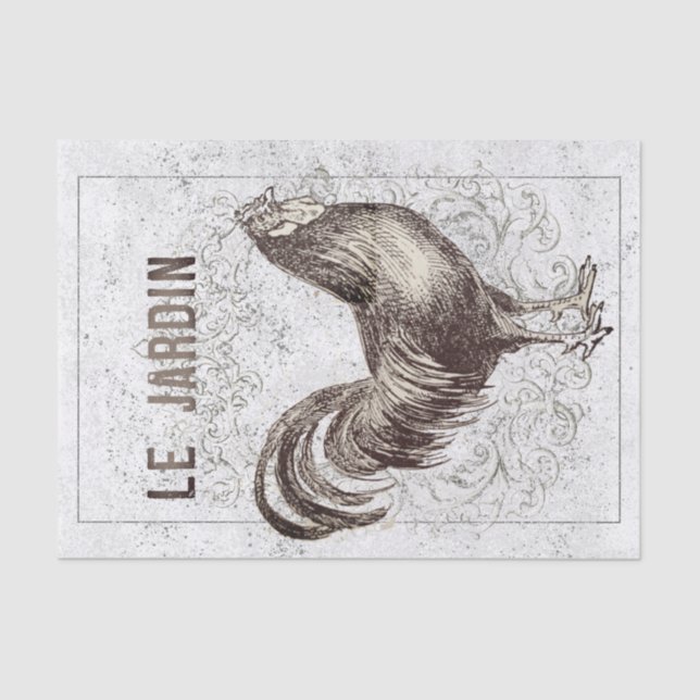 Papel De Seda Desnute de galinha galinha francesa Grunge (Frente )