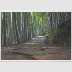 Papel De Seda Desnuvem de Floresta de Bambu 12 Fundo