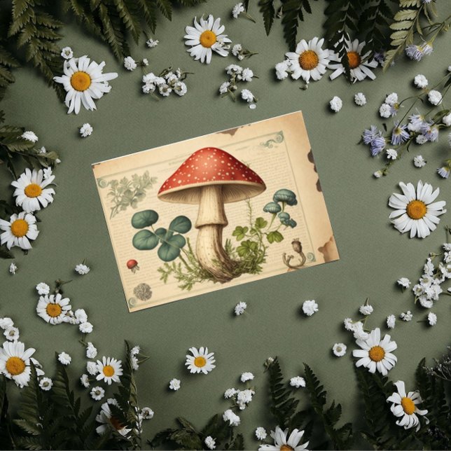 Papel De Seda Desvinculação de Vintage Mushroom (Criador carregado)
