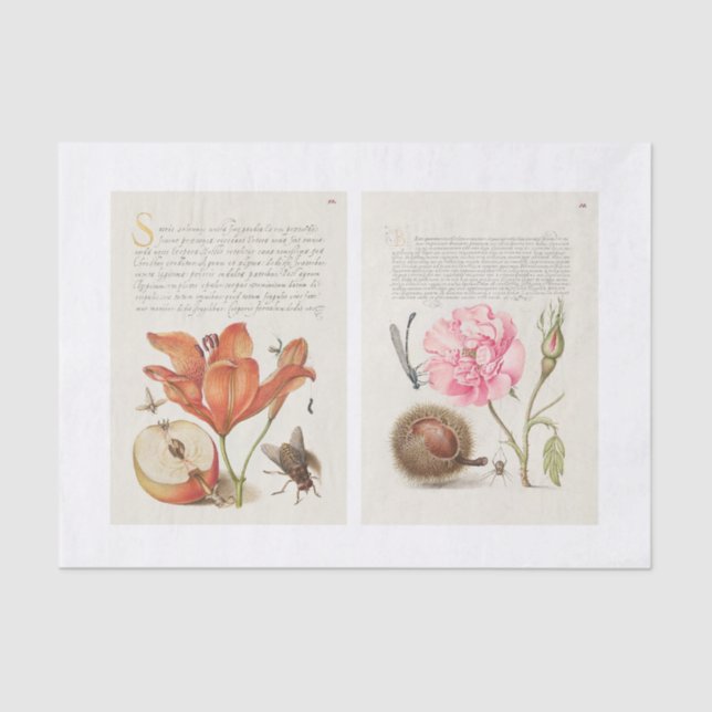 Papel De Seda Desvinculação do jardim de caligrafia (Frente )