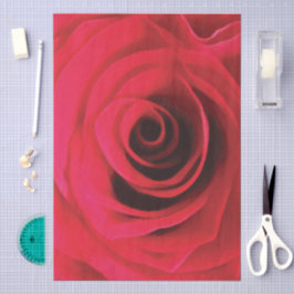 Papel De Seda Detalhe de rosa vermelha, redemoinho floral abstra