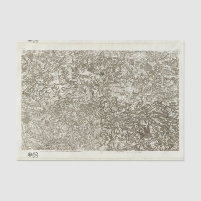 Papel De Seda Dinan (Frente )