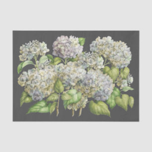 Papel De Seda Discussão Preta de Hydrangea Azul Floral