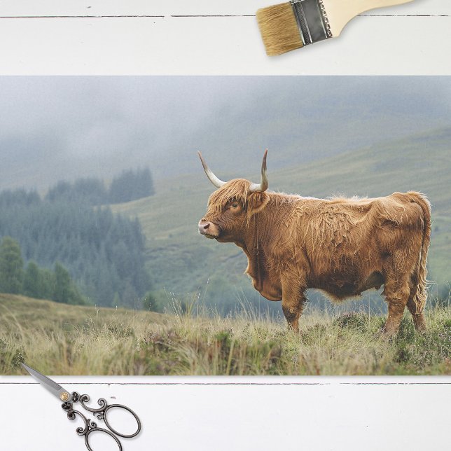 Papel De Seda Dissociação da Manhã de Mistura em Highland Cow (Criador carregado)
