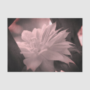 Papel De Seda Dissociação Da Vintagem A Preto E Branco Da Flor C