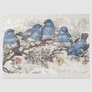 Papel De Seda Dissociação de Aquarelas de Bluebird e Blossomas