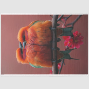 Papel De Seda Dissociação de Aves Vibrantes Vibrantes Coloridas