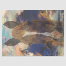 Dissociação de brisa equestre