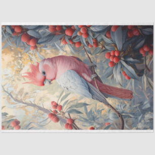 Papel De Seda Dissociação de Cockatoo Rosa Vibrante