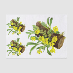 Papel De Seda Dissociação de Flor Orquídea Exótica Amarelo Vinta