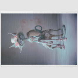 Papel De Seda Dissociação de Gatos Místicos Franceses do Nobel