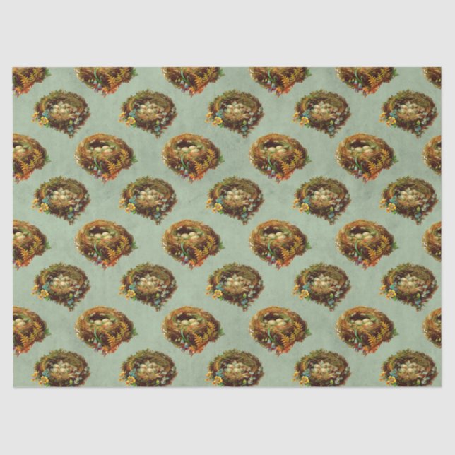 Papel De Seda Dissociação de ninhos de aves e ovos (Frente )