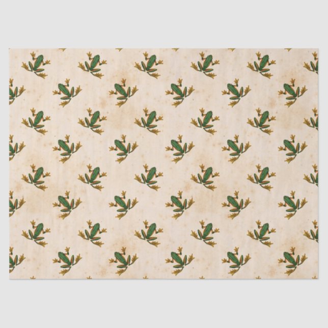 Papel De Seda Dissociação do Sapo Verde (Frente )