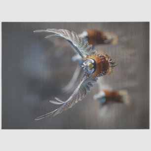 Papel De Seda Dissociação Intrai Pássaro Em Voo