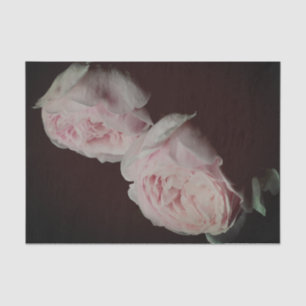 Papel De Seda Dissociação Par de Rosas Rosa