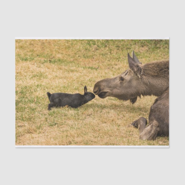 Papel De Seda Diversidade (Frente )