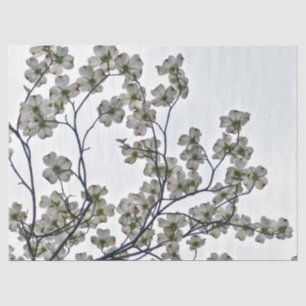 Papel De Seda Dogwood Flor Branco