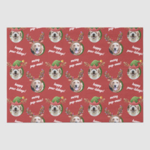 Papel De Seda Dois Cachorros Foto Reindeer Antler Feliz Natal Ve