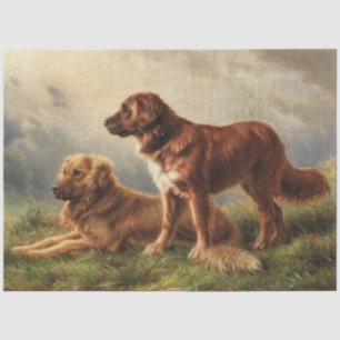 Papel De Seda Dois Cães Vigiantes
