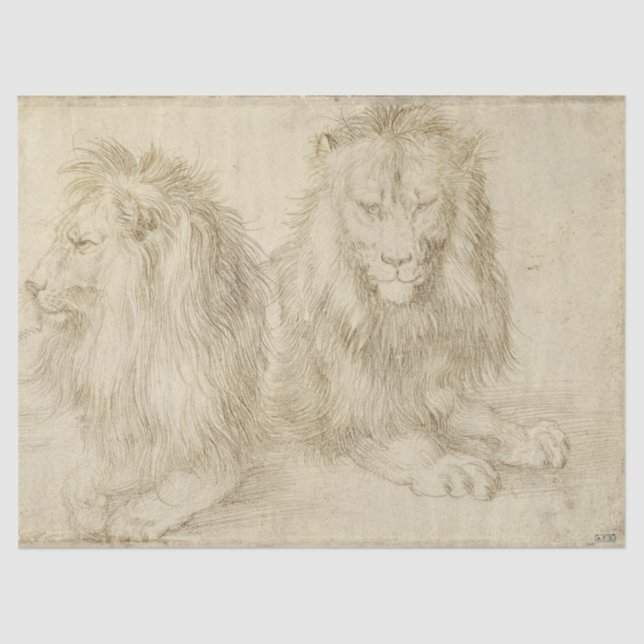 Papel De Seda Dois Leões Sentados (Animais Selvagens) (Albrecht  (Frente )