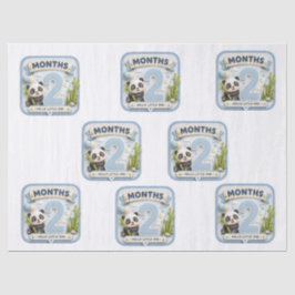 Papel De Seda Dois Meses de Maravilhas