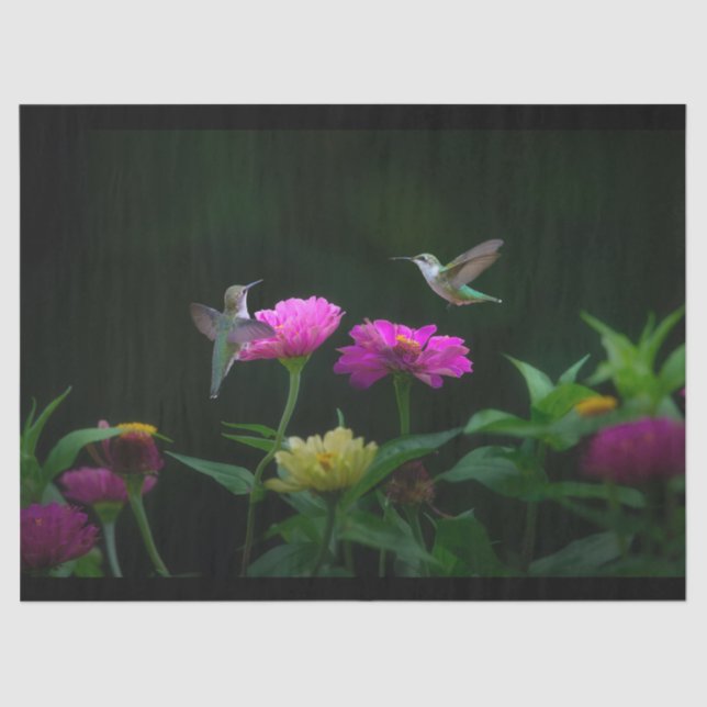 Papel De Seda Dois Tecidos de Aves Humanas (Frente )