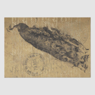 Papel De Seda Dourado Grunge Peacock Bird - Argumentação Frances