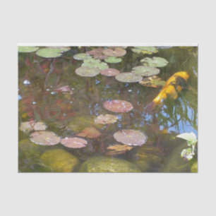 Papel De Seda Dourado Koi no lago Lily