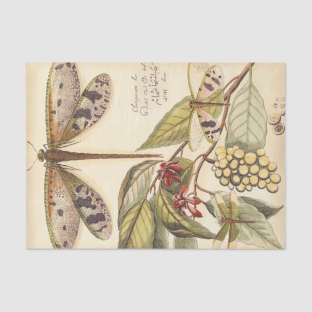 Papel De Seda Dragões com folhas e Frutas (Frente )