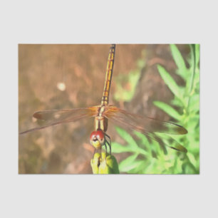 Papel De Seda Dragonfly Artística Descendo Na Cabeça Da Flor