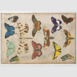 Papel De Seda Dragonfly Butterfly - desacoplamento