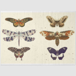 Papel De Seda Dragonfly Butterfly moth decoupagePapel Tecido