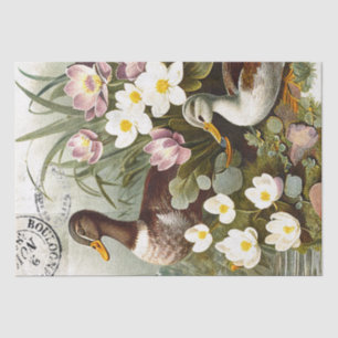 Papel De Seda Duck Bird Decoupage Floral - Marco Francês Vintage