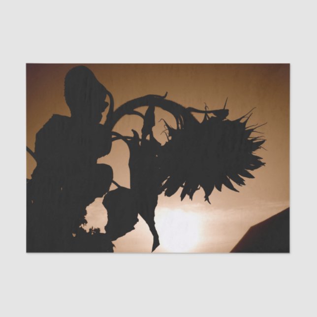 Papel De Seda Dúvidas de flores sunitas gigantes Sepia Brown Vin (Frente )